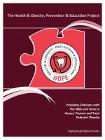 Providing Clinicians with the Skills and Tools to Assess, Prevent and Treat Pediatric Obesity pdf