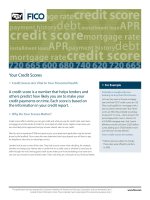 YOUR CREDIT SCORES - CREDIT SCORES ARE VITAL TO YOUR FINANCIAL HEALTH docx
