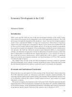 Economic Development in the UAE pptx