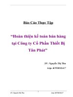 Đề tài “Hoàn thiện kế toán bán hàng tại Công ty Cổ Phần Thiết Bị Tân Phát” ppt