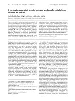 Báo cáo khoa học: A chromatin-associated protein from pea seeds preferentially binds histones H3 and H4 pptx