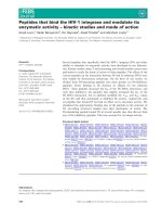 Báo cáo khoa học: Peptides that bind the HIV-1 integrase and modulate its enzymatic activity – kinetic studies and mode of action pptx