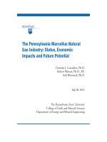 THE PENNSYLVANIA MARCELLUS NATURAL GAS INDUSTRY: STATUS, ECONOMIC IMPACTS AND FUTURE POTENTIAL potx
