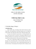 Chiến lược định vị của  công ty viễn thông Viettel (Viettel Telecom)