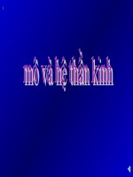 Mô và hệ thần kinh doc