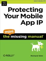 Protecting Your Mobile App IP: The Mini Missing Manual pdf