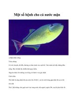 Một số bệnh cho cá nước mặn pptx