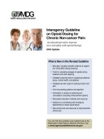 Interagency Guideline on Opioid Dosing for Chronic Non-cancer Pain:  An educational aid to improve   care and safety with opioid therapy pptx