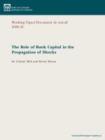 The Role of Bank Capital in the Propagation of Shocks potx
