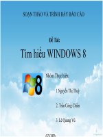 Tiểu luận: Tìm hiểu WINDOW 8 doc