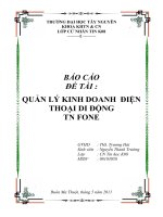 Quản lý và kinh doanh điện thoại TN Fone