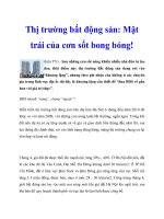 Thị trường bất động sản: Mặt trái của cơn sốt bong bóng! doc
