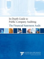 In-Depth Guide to Public Company Auditing: The Financial Statement Audit potx