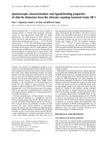 Báo cáo Y học: Spectroscopic characterization and ligand-binding properties of chlorite dismutase from the chlorate respiring bacterial strain GR-1 ppt