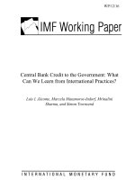 Central Bank Credit to the Government: What Can We Learn from International Practices? pdf