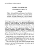 Liquidity and Credit Risk potx