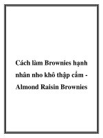 Cách làm Brownies hạnh nhân nho khô thập cẩm Almond Raisin Brownies pot
