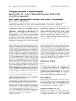 Báo cáo khoa học: N-Glycan structures of squid rhodopsin Existence of the a1–3 and a1–6 difucosylated innermost GlcNAc residue in a molluscan glycoprotein pot