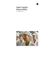 Apple Supplier Responsibility 2011 Progress Report pdf