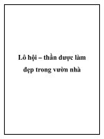 Lô hội – thần dược làm đẹp trong vườn nhà potx