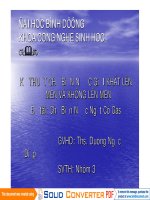 KỸ THUẬT CHẾ BiẾN NƯỚC GiẢI KHÁT LÊN MEN VÀ KHÔNG LÊN MEN pptx