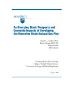 AN EMERGING GIANT: PROSPECTS AND ECONOMIC IMPACTS OF DEVELOPING THE MARCELLUS SHALE NATURAL GAS PLAY ppt