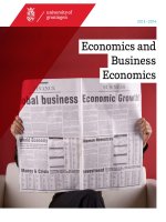 Economics and Business Economics docx