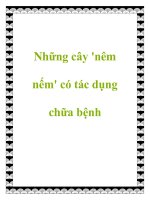 Những cây ''''nêm nếm'''' có tác dụng chữa bệnh pdf