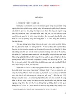 Phát triển làng nghề ở các tỉnh duyên hải Nam trung bộ - Thực trạng và giải pháp