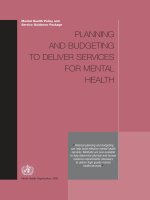 Mental Health Policy and Service Guidance Package: PLANNING AND BUDGETING TO DELIVER SERVICES FOR MENTAL HEALTH pdf