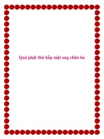 Quả phật thủ hấp mật ong chữa ho. pdf