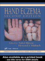 DEMATOLOGY: CLINICAL & BASIC SCIENCE SERIES HAND ECZEMA SECOND EDITION docx