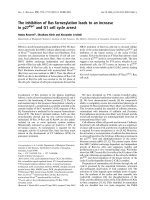 Báo cáo khoa học: The inhibition of Ras farnesylation leads to an increase in p27Kip1 and G1 cell cycle arrest pdf