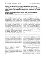 Báo cáo khoa học: Malonyl-CoA decarboxylase (MCD) is differentially regulated in subcellular compartments by 5¢AMP-activated protein kinase (AMPK) Studies using H9c2 cells overexpressing MCD and AMPK by adenoviral gene transfer technique potx