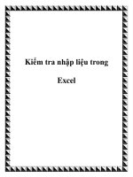 Kiểm tra nhập liệu trong Excel pdf