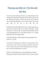 Thương mại điện tử: Còn lâu mới bão hòa pdf
