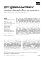 Báo cáo khoa học: Mutants of Saccharomyces cerevisiae deﬁcient in acyl-CoA synthetases secrete fatty acids due to interrupted fatty acid recycling docx