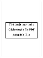 Thủ thuật máy tính : Cách chuyển file PDF sang ảnh ppt