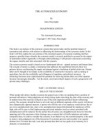 THE AUTOMATED ECONOMY doc