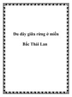 Đu dây giữa rừng ở miền Bắc Thái Lan ppt