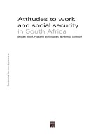 Attitudes to work and social security in South Africa pot