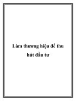 Làm thương hiệu để thu hút đầu tư ppt