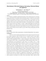 Biotechnology of Microbial Xylanases: Enzymology, Molecular Biology and Application