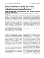 Báo cáo khóa học: Vertical-scanning mutagenesis of amino acids in a model N-myristoylation motif reveals the major amino-terminal sequence requirements for protein N-myristoylation ppt