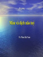 Máu và dịch não tuỷ ppt