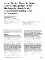 Use of Herbal Plants in Poultry Health Management in the Mushagashe Small-Scale Commercial Farming Area in Zimbabwe docx