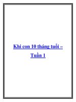 Khi con 10 tháng tuổi – Tuần 1. ppt
