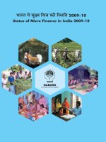 Status of Micro Finance in India 2009-2010 doc
