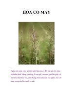 HOA CỎ MAY pdf