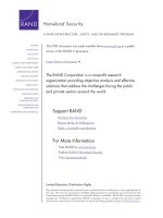 Emerging Threats and Security Planning - How Should We Decide What Hypothetical Threats to Worry About pdf